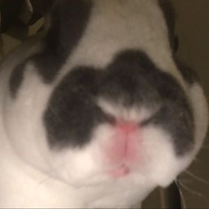 Meet your Posher, Mustafa